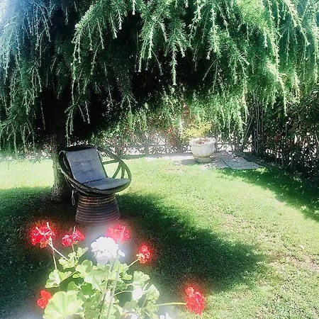 Holiday home Netti Donato-colverde 27 Cavallasca