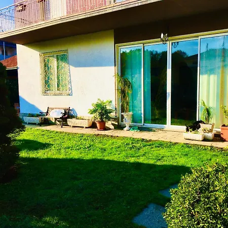 Netti Donato-colverde 27 *