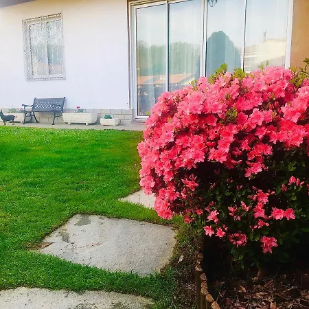 Netti Donato-colverde 27 * Cavallasca